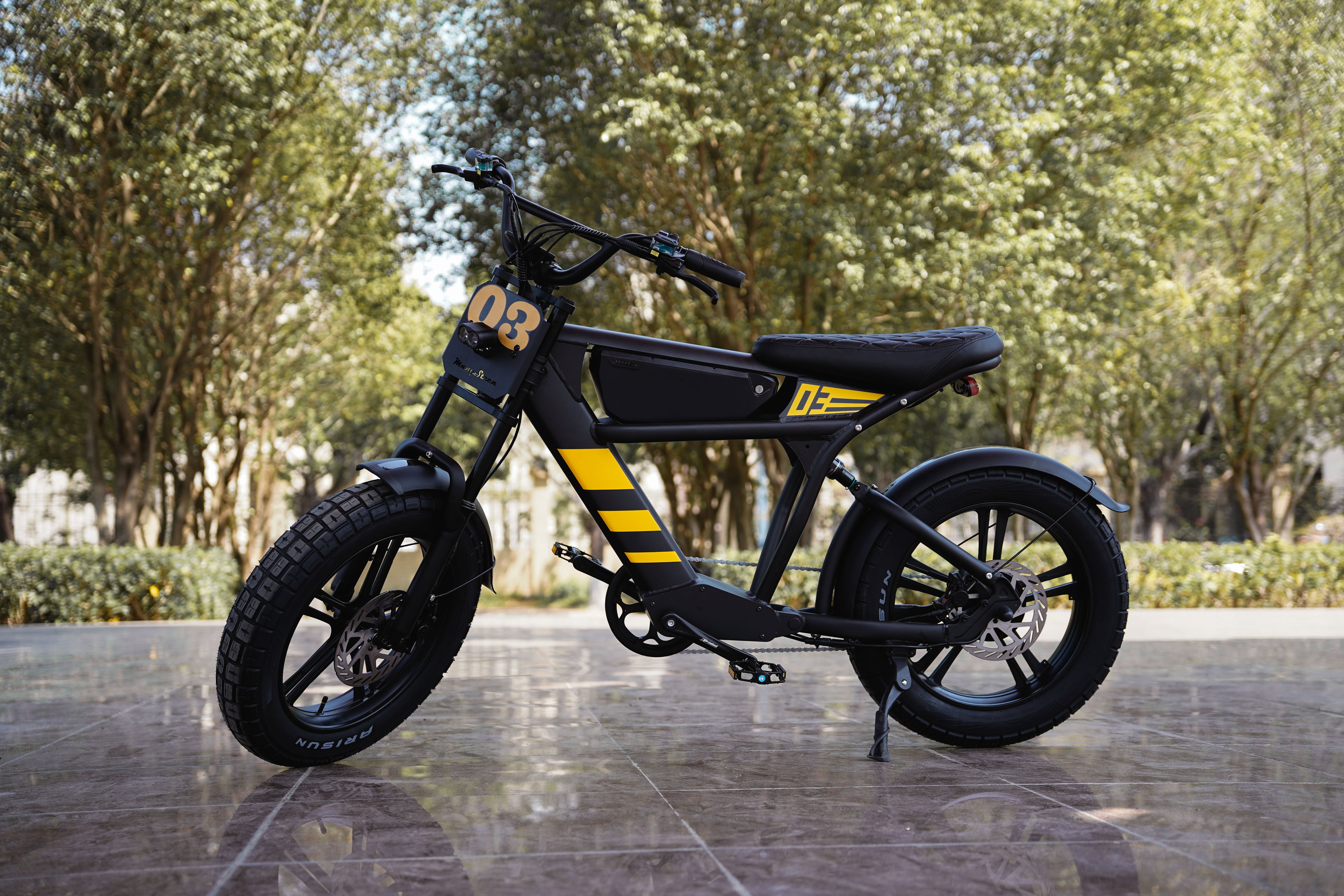 Mangosteen FT03 E-Bike