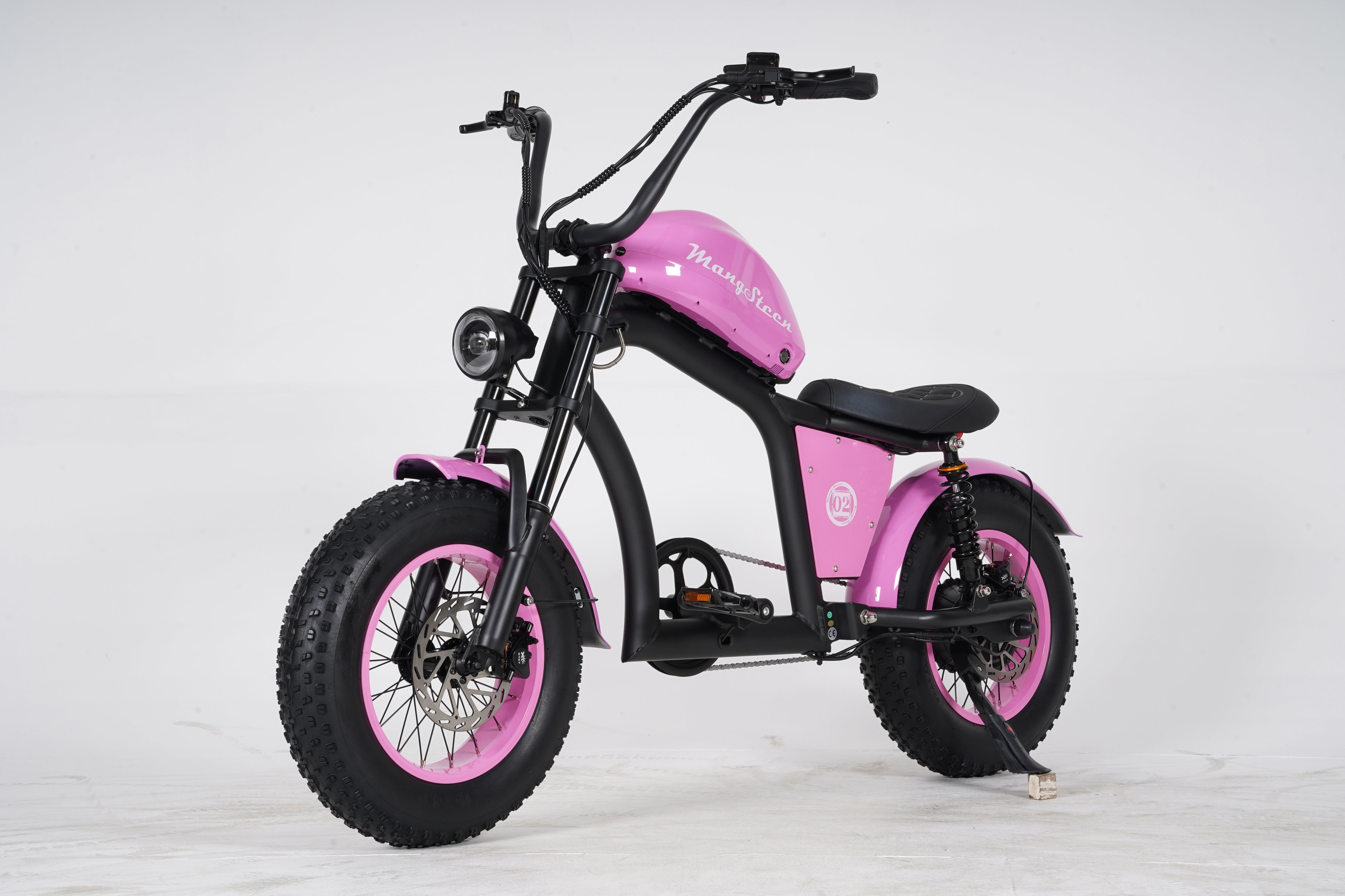 Mangosteen FT02 Mini E-Bike