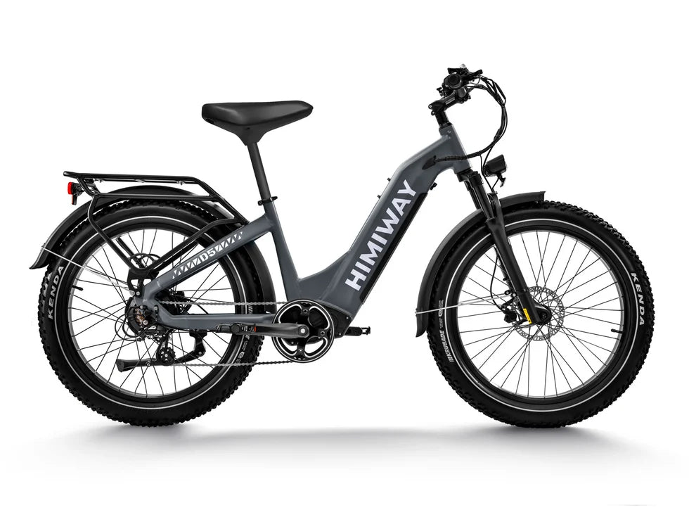 Zebra Fat E-Bike D5