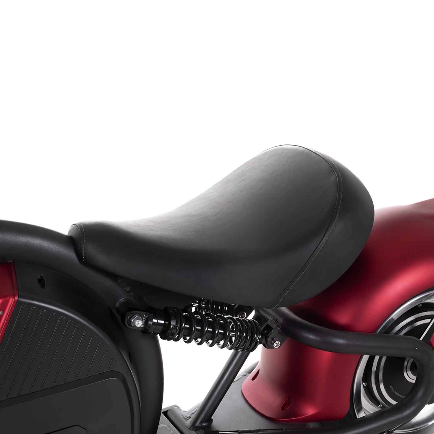 Grizzy E-Roller - ESOMOTO