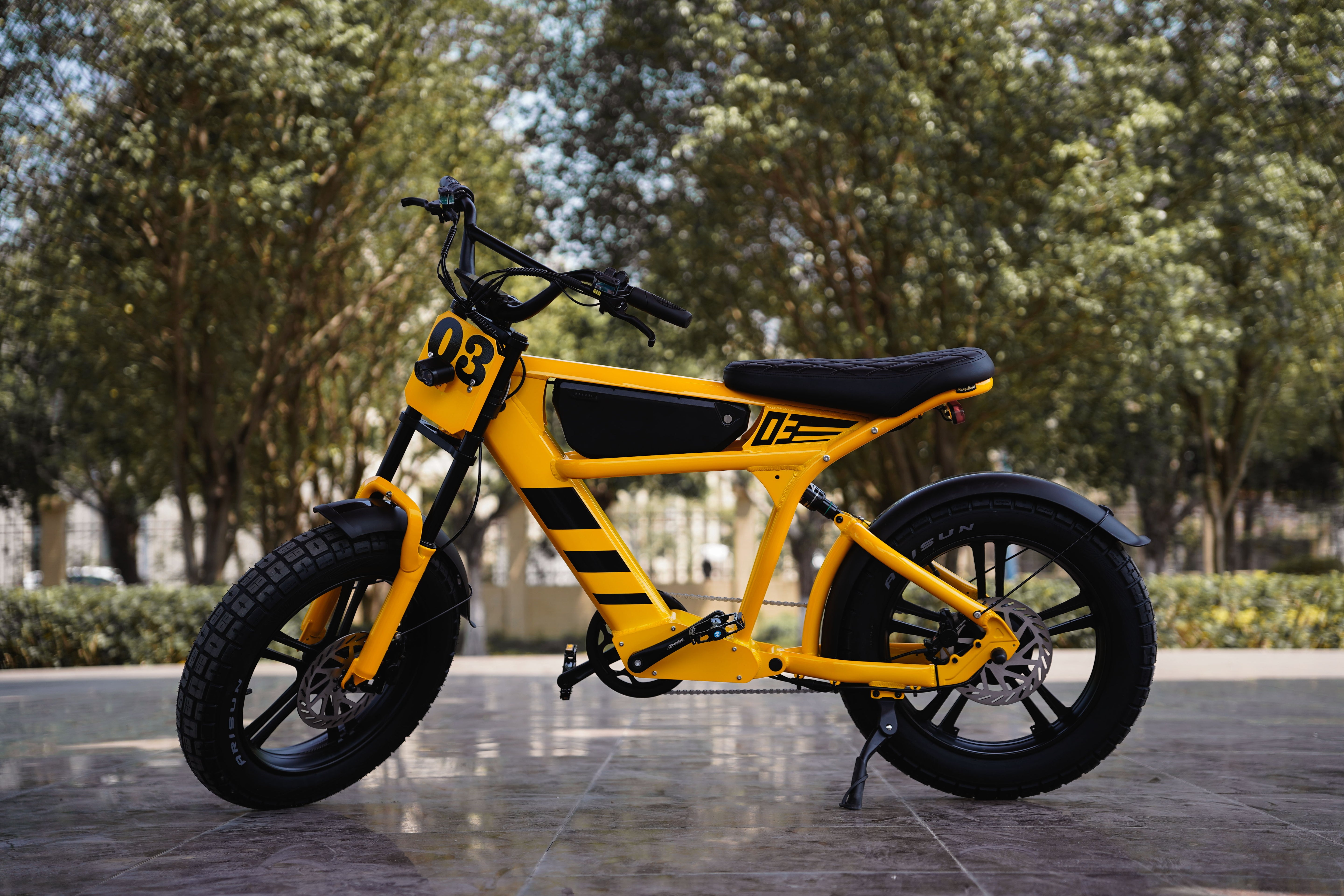 Mangosteen FT03 E-Bike