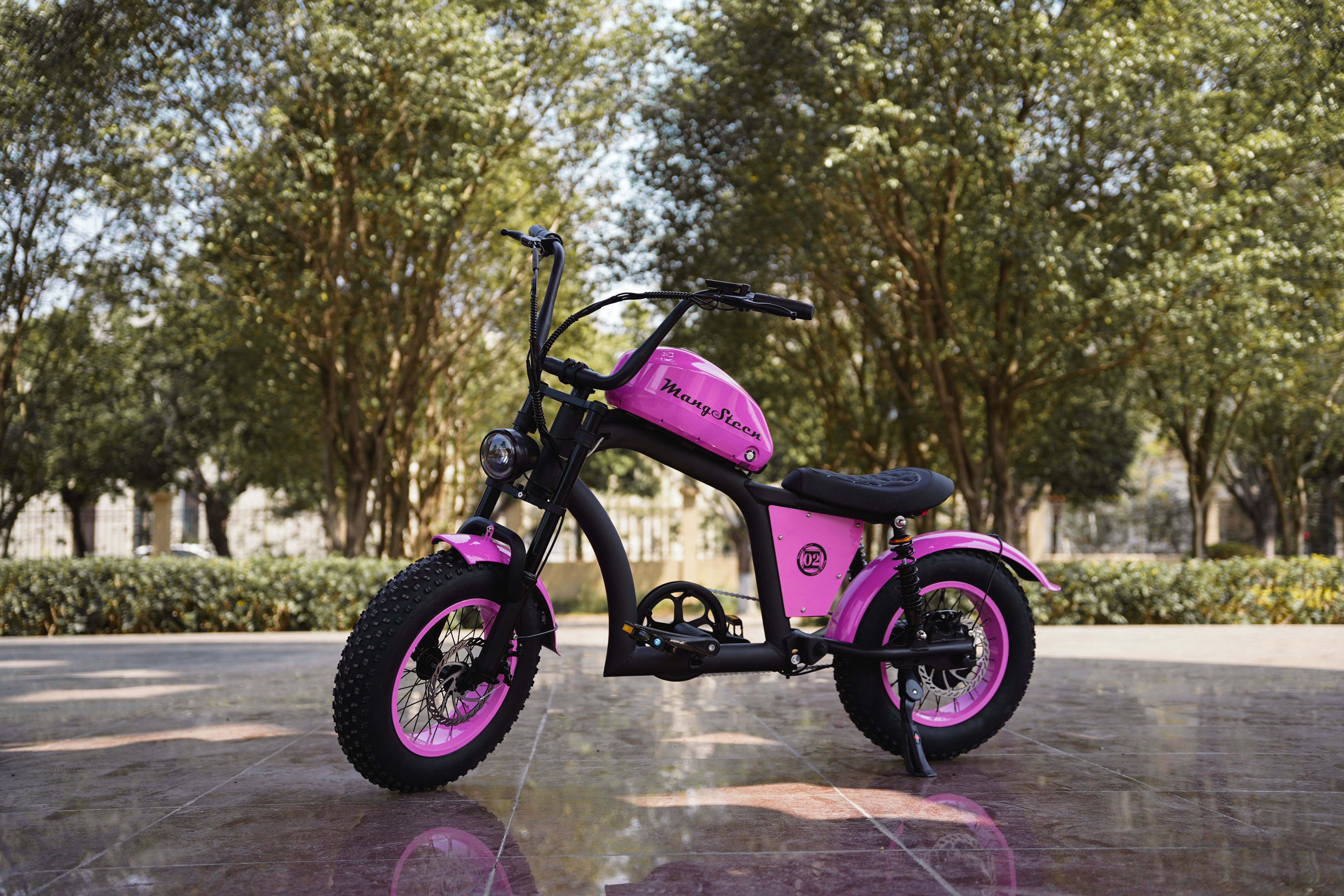 Mangosteen FT02 Mini E-Bike