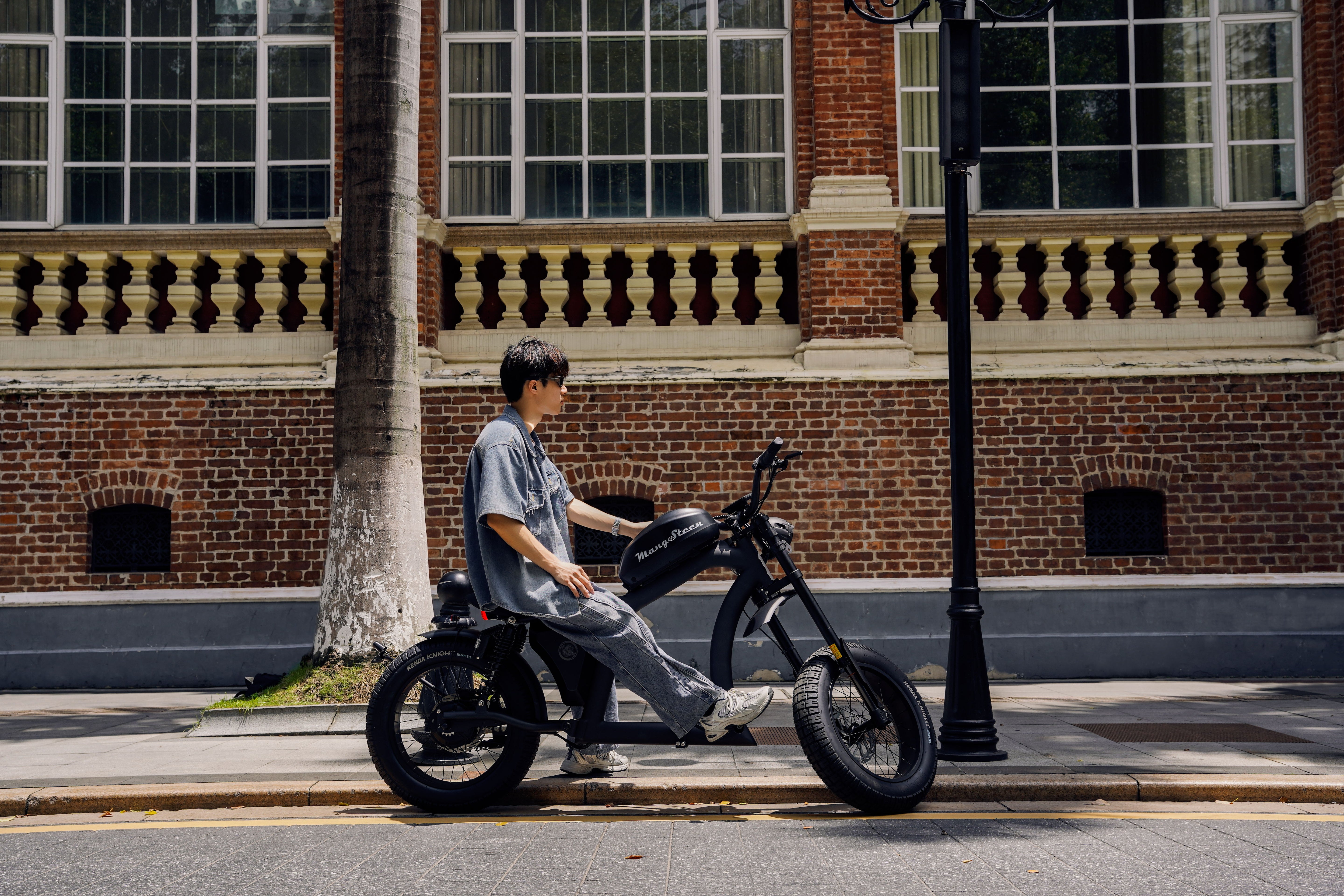 Mangosteen FT02 EEC E-Bike