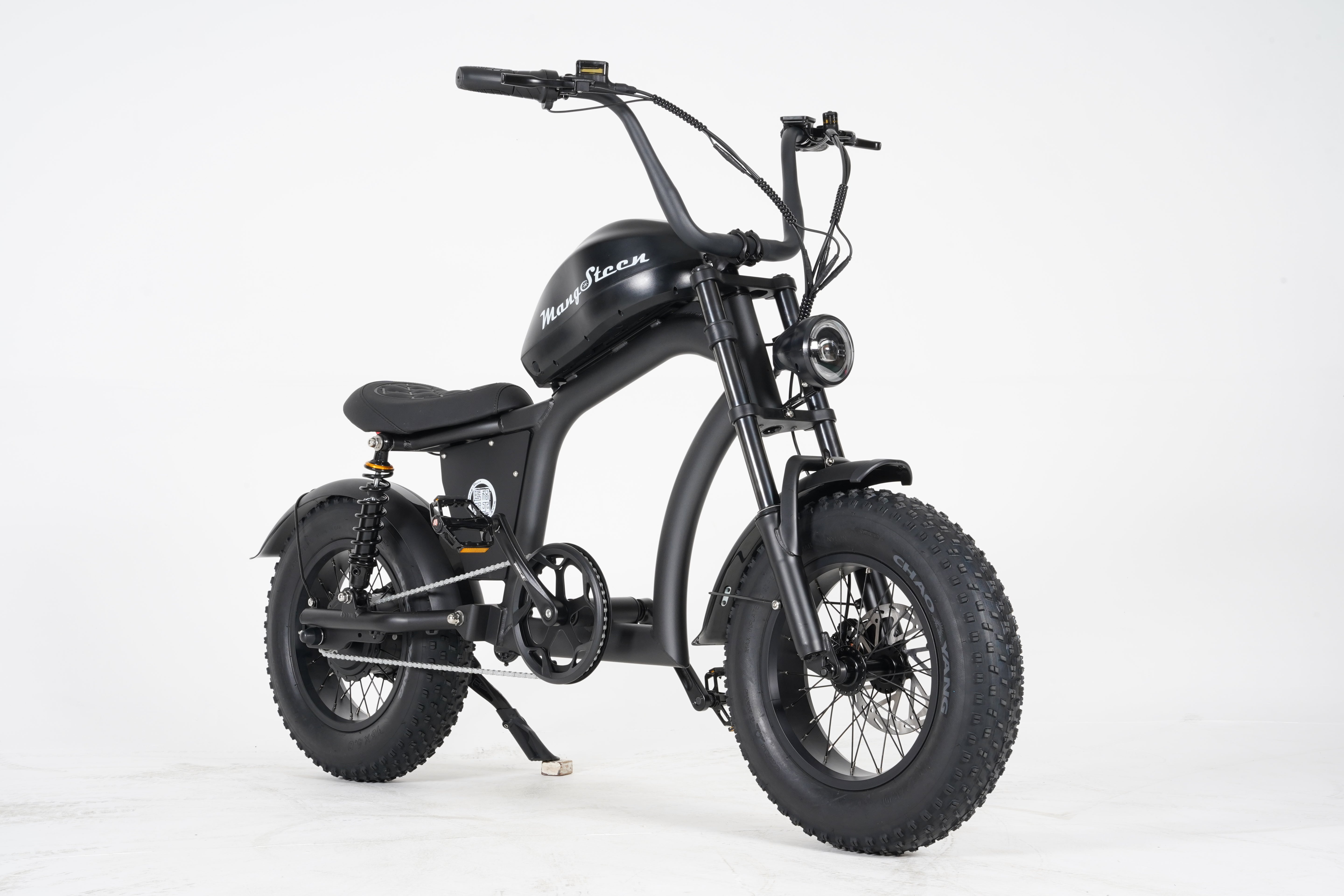 Mangosteen FT02 Mini E-Bike